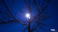 Tag oder Nacht