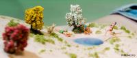 Miniature Bodyscapes