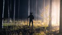 Wanderer im Nebelwald