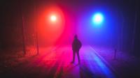 Cinematic Night II