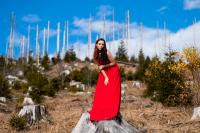Rotes Kleid