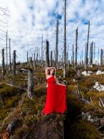 Rotes Kleid