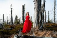 Rotes Kleid