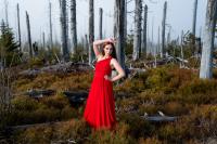 Rotes Kleid