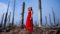 Rotes Kleid