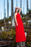 Rotes Kleid